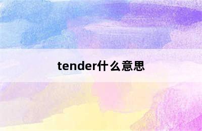 tender什么意思