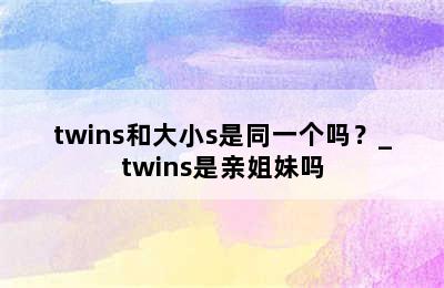 twins和大小s是同一个吗？_twins是亲姐妹吗