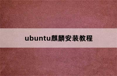 ubuntu麒麟安装教程