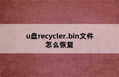 u盘recycler.bin文件怎么恢复