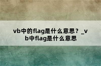 vb中的flag是什么意思？_vb中flag是什么意思