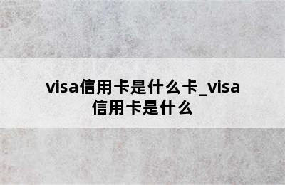 visa信用卡是什么卡_visa信用卡是什么