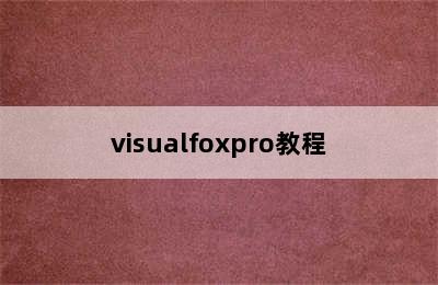 visualfoxpro教程
