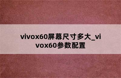 vivox60屏幕尺寸多大_vivox60参数配置