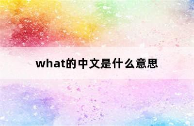 what的中文是什么意思