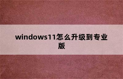 windows11怎么升级到专业版