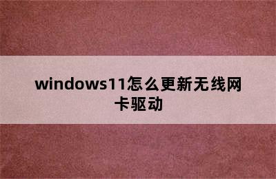 windows11怎么更新无线网卡驱动