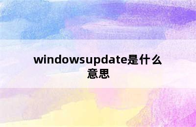 windowsupdate是什么意思