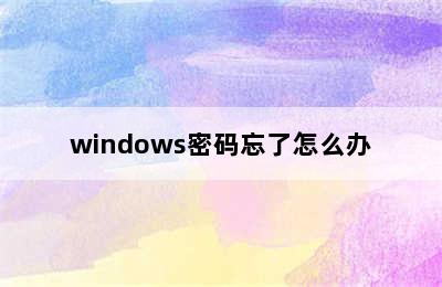 windows密码忘了怎么办