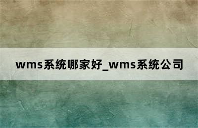 wms系统哪家好_wms系统公司