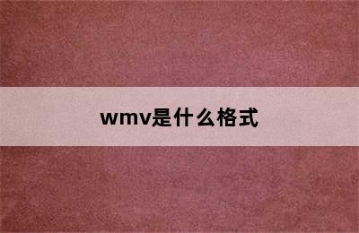 wmv是什么格式