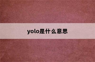 yolo是什么意思