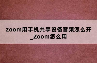 zoom用手机共享设备音频怎么开_Zoom怎么用