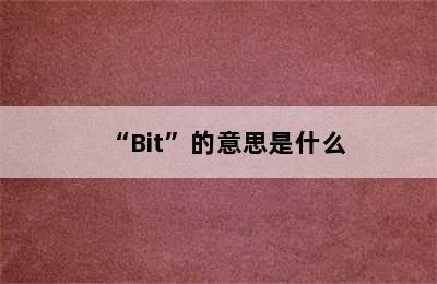 “Bit”的意思是什么