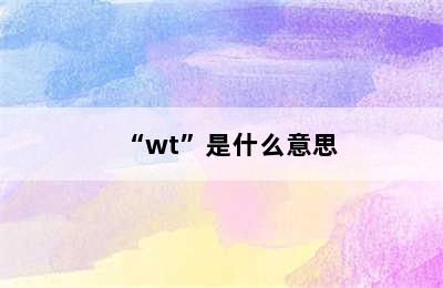 “wt”是什么意思
