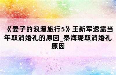《妻子的浪漫旅行5》王新军透露当年取消婚礼的原因_秦海璐取消婚礼原因