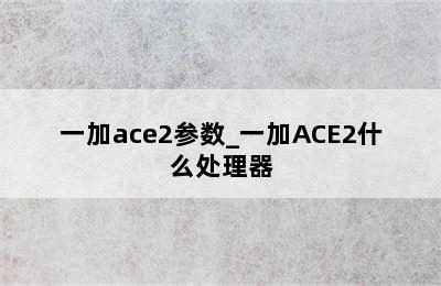 一加ace2参数_一加ACE2什么处理器