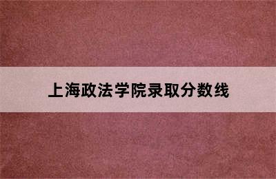 上海政法学院录取分数线