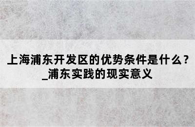上海浦东开发区的优势条件是什么？_浦东实践的现实意义