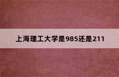 上海理工大学是985还是211