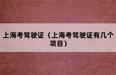 上海考驾驶证（上海考驾驶证有几个项目）