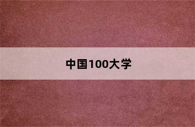 中国100大学