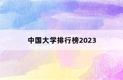 中国大学排行榜2023