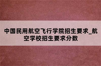 中国民用航空飞行学院招生要求_航空学校招生要求分数