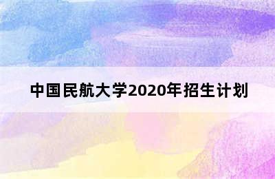 中国民航大学2020年招生计划