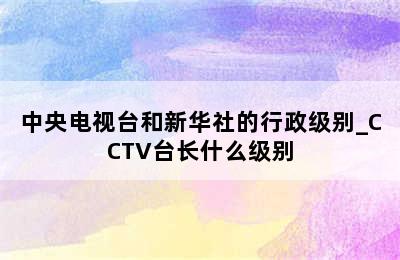 中央电视台和新华社的行政级别_CCTV台长什么级别
