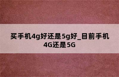 买手机4g好还是5g好_目前手机4G还是5G