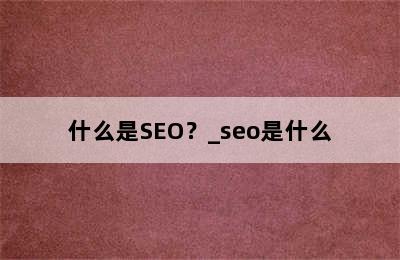 什么是SEO？_seo是什么