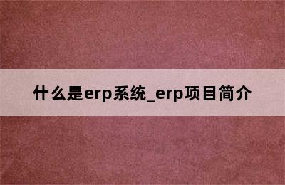 什么是erp系统_erp项目简介