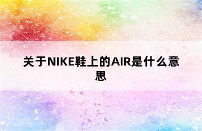 关于NIKE鞋上的AIR是什么意思