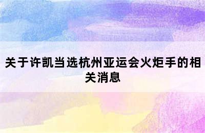 关于许凯当选杭州亚运会火炬手的相关消息