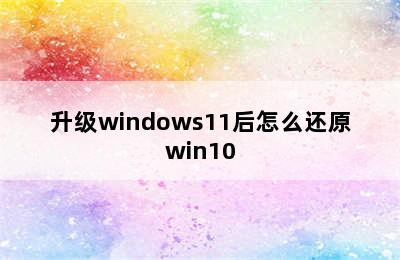 升级windows11后怎么还原win10