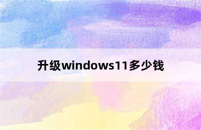 升级windows11多少钱