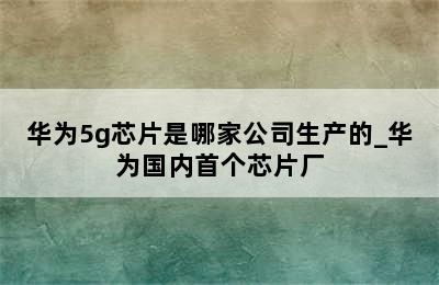 华为5g芯片是哪家公司生产的_华为国内首个芯片厂