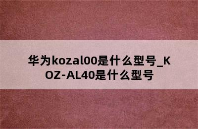 华为kozal00是什么型号_KOZ-AL40是什么型号