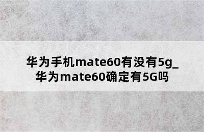 华为手机mate60有没有5g_华为mate60确定有5G吗
