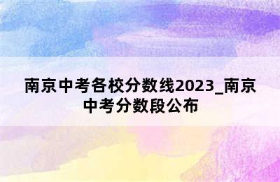 南京中考各校分数线2023_南京中考分数段公布