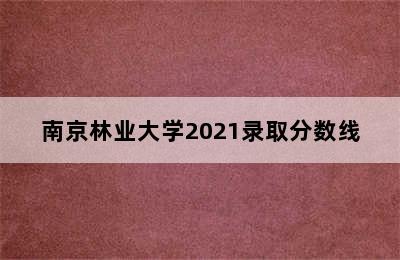 南京林业大学2021录取分数线