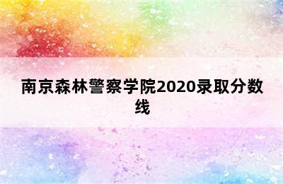 南京森林警察学院2020录取分数线