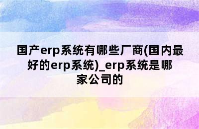 国产erp系统有哪些厂商(国内最好的erp系统)_erp系统是哪家公司的