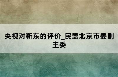 央视对靳东的评价_民盟北京市委副主委