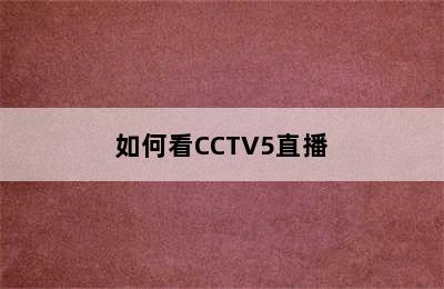如何看CCTV5直播