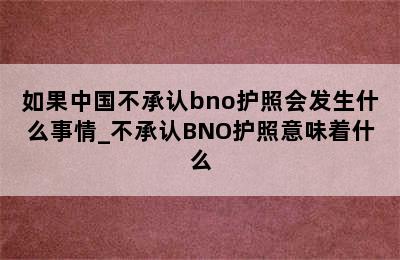如果中国不承认bno护照会发生什么事情_不承认BNO护照意味着什么