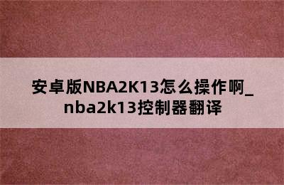 安卓版NBA2K13怎么操作啊_nba2k13控制器翻译