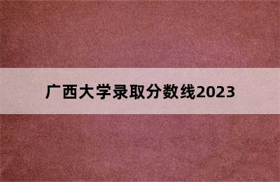广西大学录取分数线2023