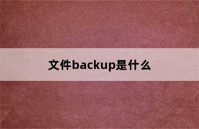 文件backup是什么